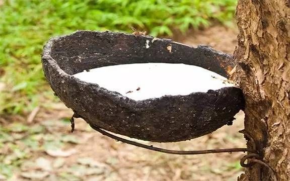 天然乳膠泡沫多是什么原因，有什么危害？