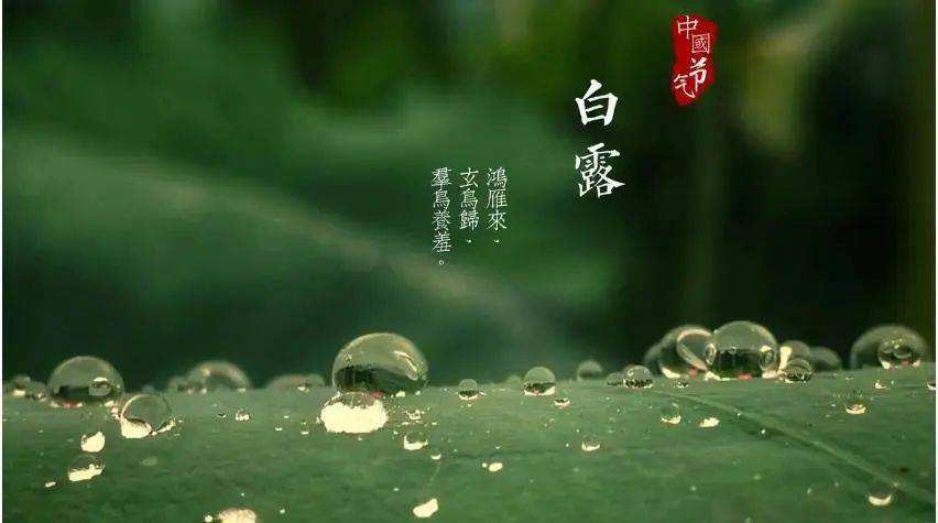 清風至，白露生